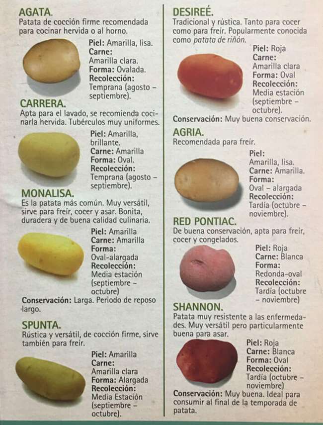 variedades-patata