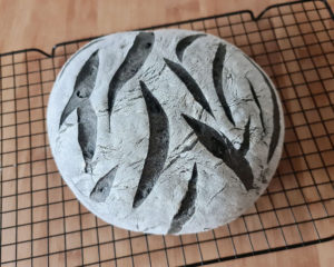 pan-cebra-blanco-negro