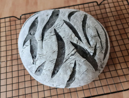 pan-cebra-blanco-negro