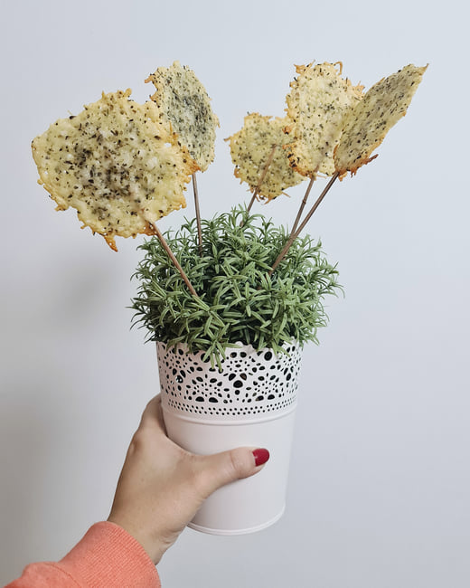 piruletas-parmesano-queso-jamon