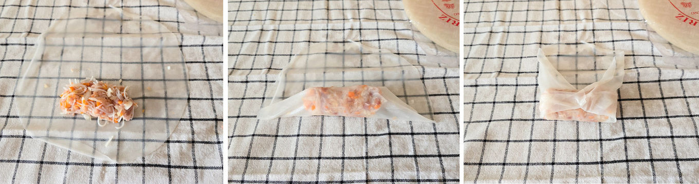 rollitos-vietnamitas-receta-casera