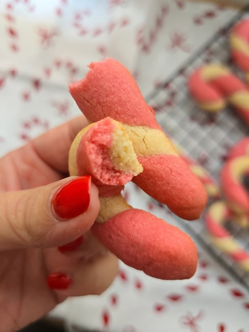 masa de galleta navideñas con thermomix